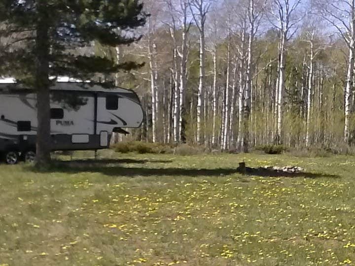 Camper submitted image from Range Study Area - FS Road #217 - 4