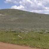Review photo of Range Study Area - FS Road #217 by Cortney M., June 21, 2017