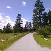 Review photo of Greendale - Ashley National Forest by Cortney M., June 21, 2017