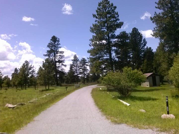 Camper submitted image from Greendale - Ashley National Forest - 2