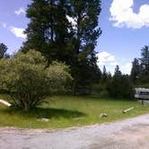 Review photo of Greendale - Ashley National Forest by Cortney M., June 21, 2017