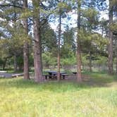 Review photo of Greendale - Ashley National Forest by Cortney M., June 21, 2017