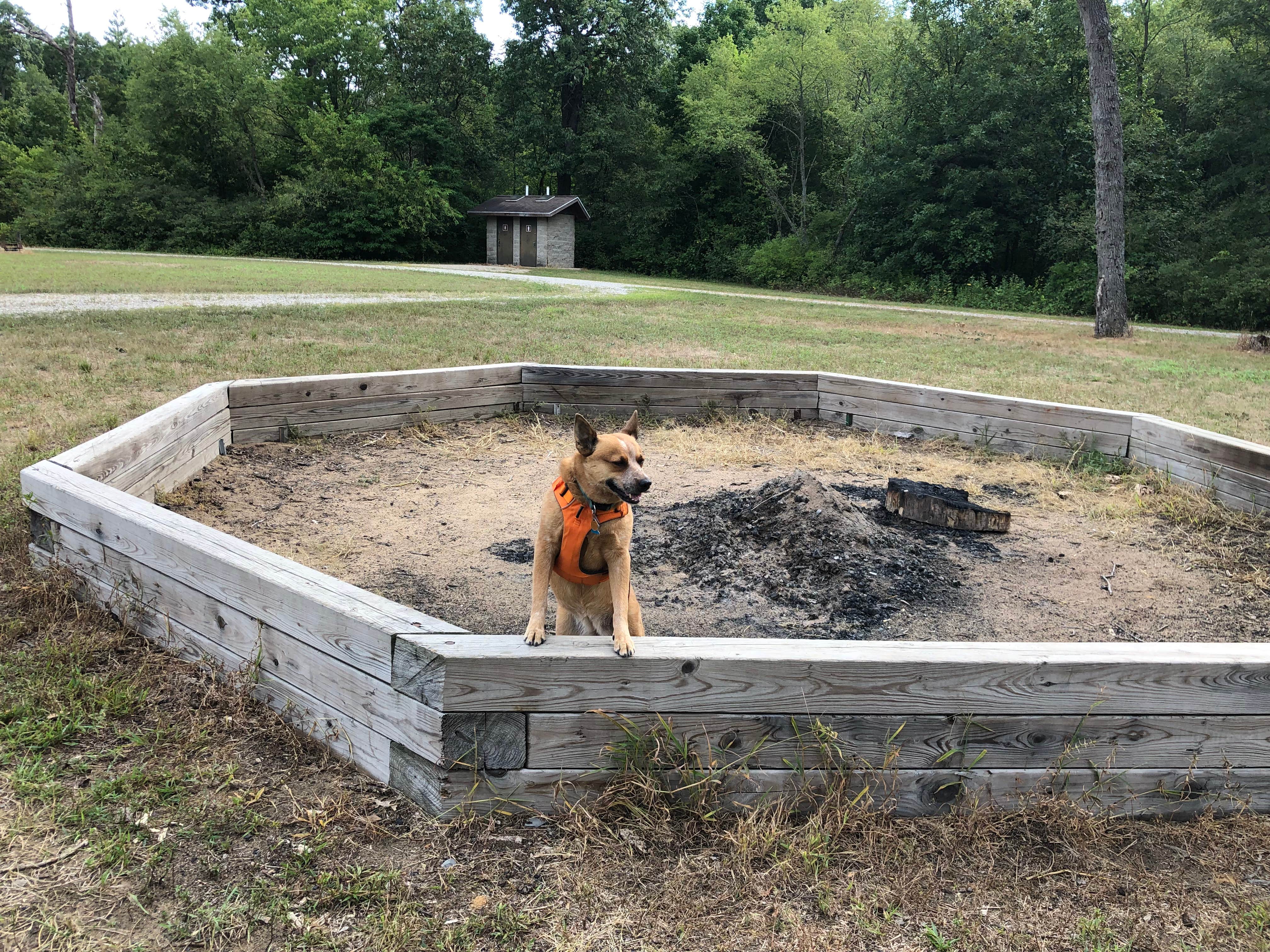 Camper submitted image from Oak Campground — Sand Ridge State Forest - 5