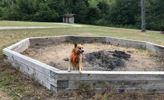 Art S.'s photo of camping with pets at Oak Campground — Sand Ridge State Forest near Peoria, IL