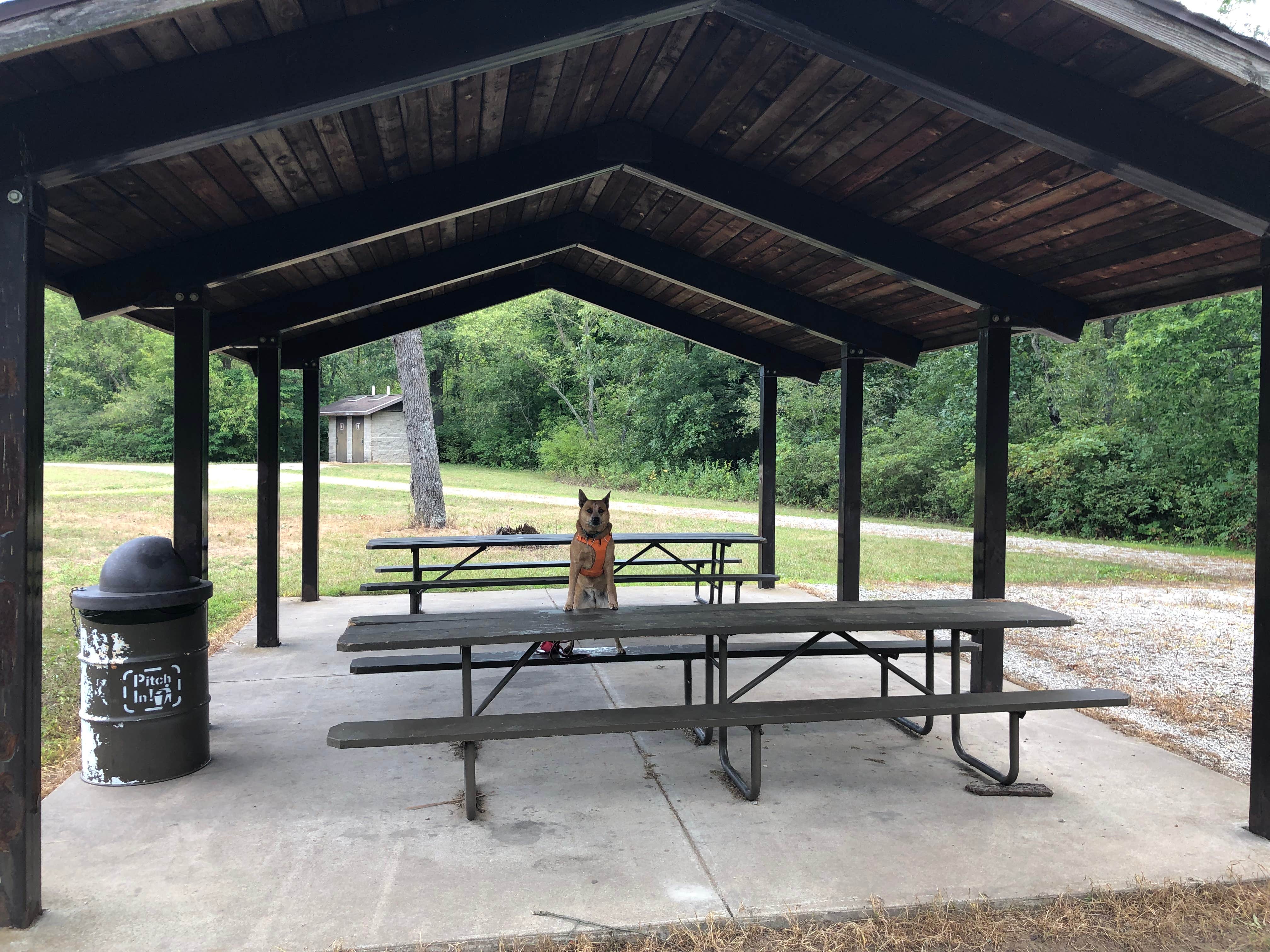 Camper-submitted photo at Oak Campground — Sand Ridge State Forest near Forest City, IL