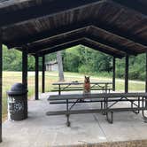 Review photo of Oak Campground — Sand Ridge State Forest by Art S., August 31, 2019