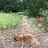 Review photo of Oak Campground — Sand Ridge State Forest by Art S., August 31, 2019