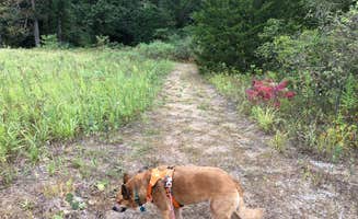 Art S.'s photo of camping with pets at Oak Campground — Sand Ridge State Forest near Heyworth, IL