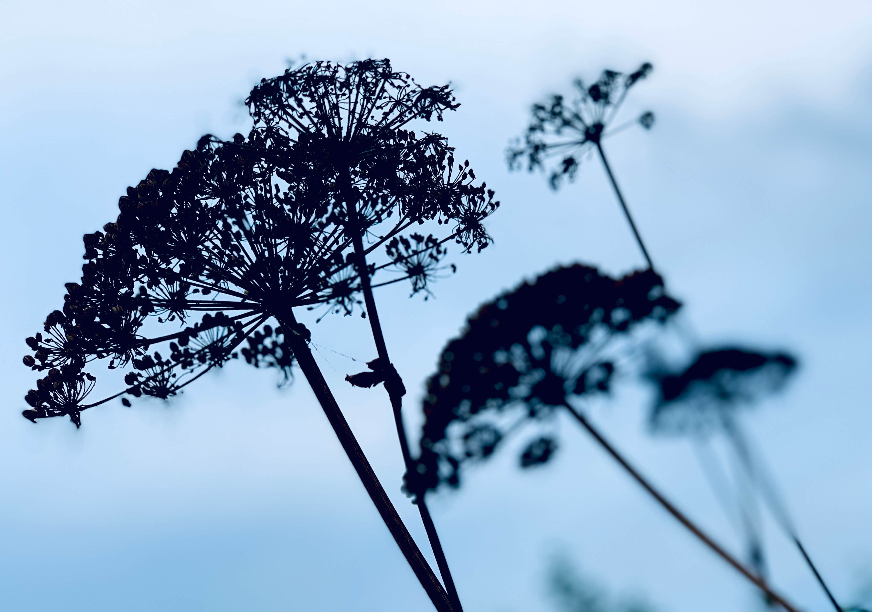 Camper-submitted photo at Ocean City State Park Campground near Ocean Park, WA