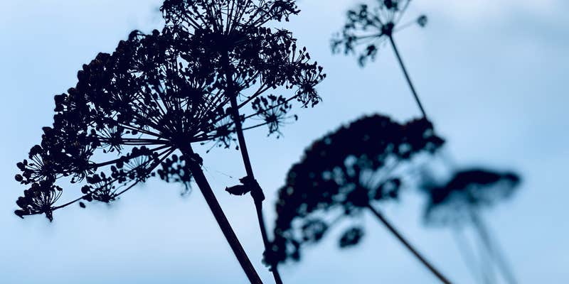 Camper submitted image from Ocean City State Park Campground