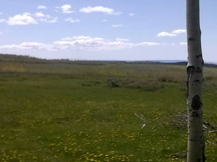 Camper submitted image from Range Study Area - FS Road #217 - 1