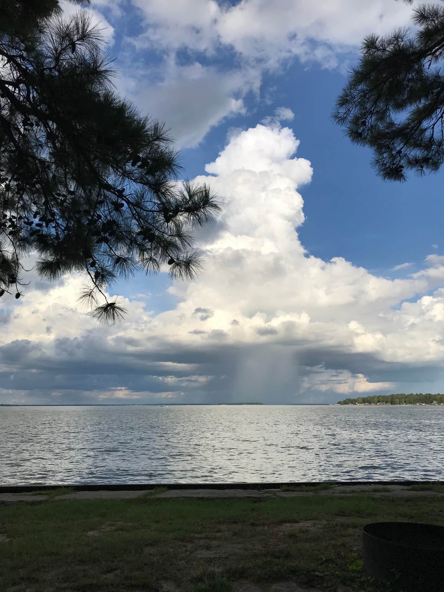 Wolf Creek Park The Dyrt