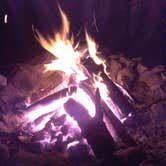 Review photo of East Park Campground - Ashley National Forest by Cortney M., August 31, 2016