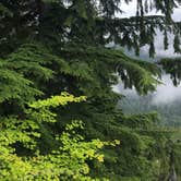 Review photo of Mazama Village Campground — Crater Lake National Park by Sam M., August 31, 2019