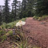 Review photo of Mazama Village Campground — Crater Lake National Park by Sam M., August 31, 2019