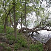 Review photo of Calumet County Park by Lula L., August 31, 2019