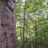 Review photo of High Cliff State Park Campground by Lula L., August 31, 2019