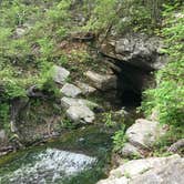 Review photo of Natural Bridge-Lexington KOA by Max O., August 24, 2019