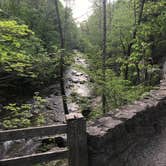 Review photo of Natural Bridge-Lexington KOA by Max O., August 24, 2019