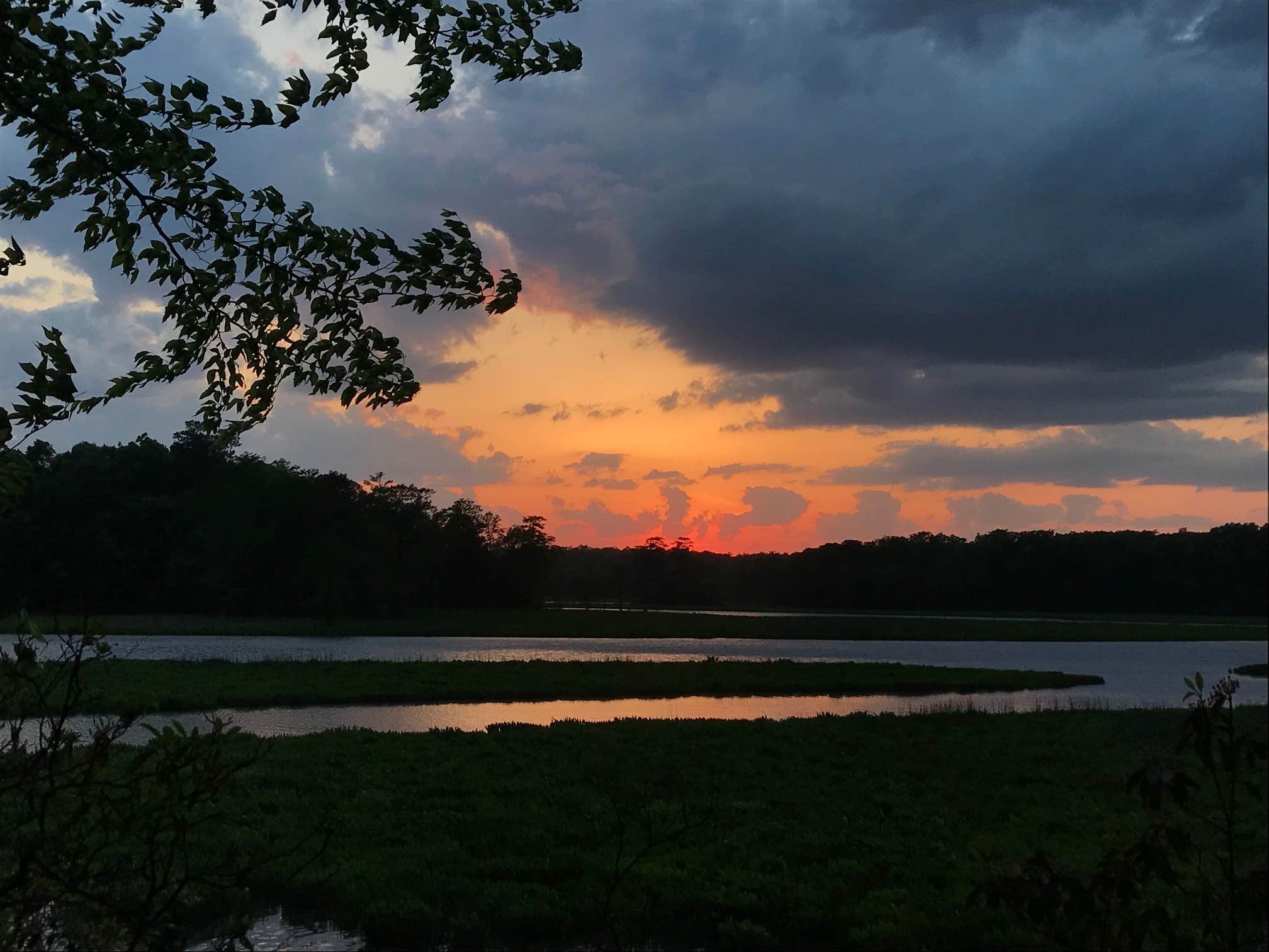 Chickahominy WMA Camping | Lightfoot, VA