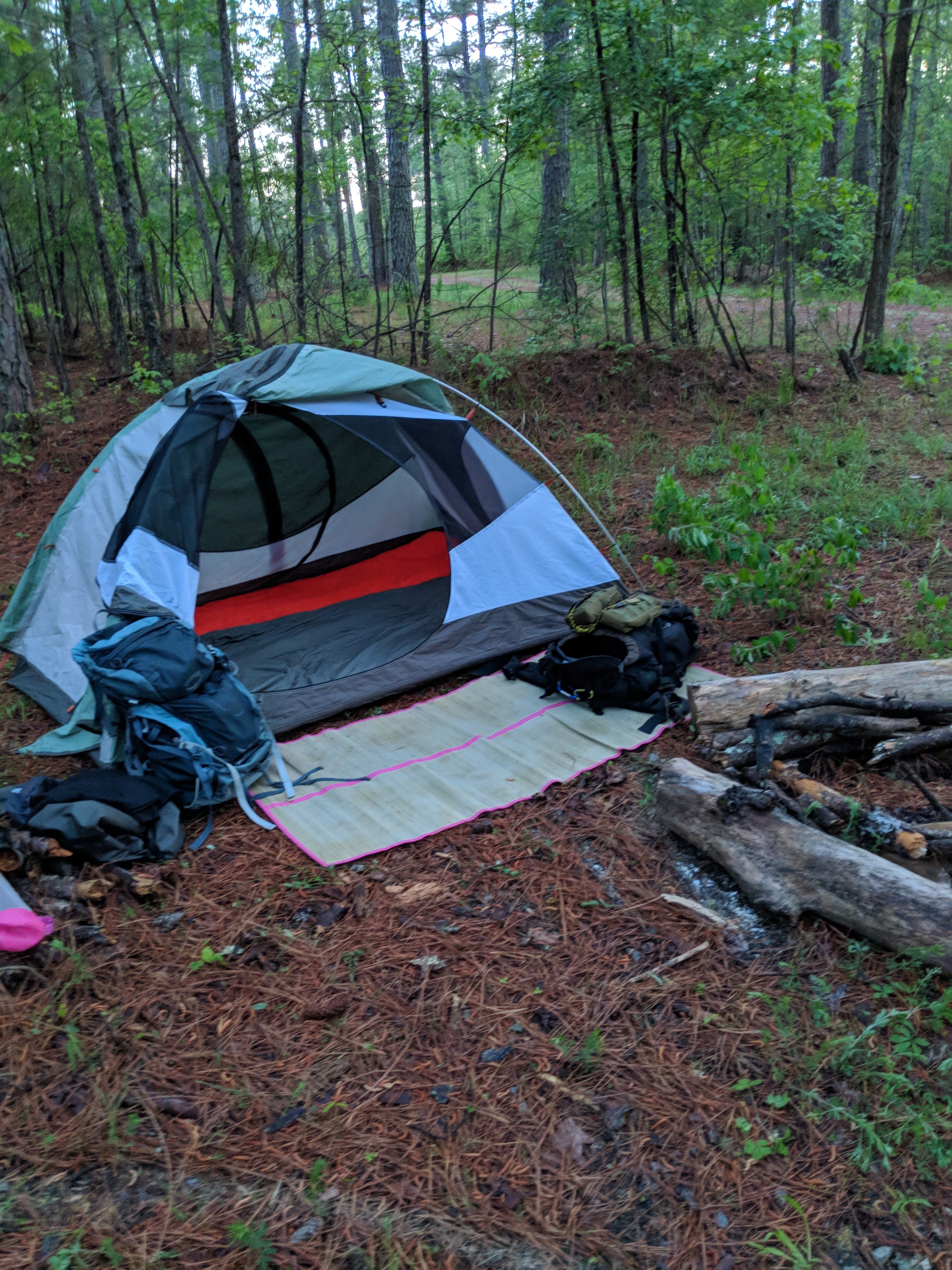 Camper submitted image from Butner lake WMA - 4