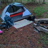 Review photo of Butner lake WMA by Max O., August 24, 2019