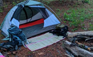 Max O.'s photo at Butner lake WMA near Wake Forest, NC