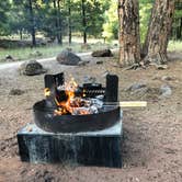 Review photo of Lakeview Campground (Az) — Coconino National Forest Recreation by Whitney C., August 31, 2019