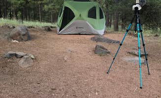 Whitney C.'s photo of camping with pets at Lakeview Campground (Az) — Coconino National Forest Recreation near Mormon Lake, AZ