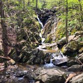 Review photo of Lewis Mountain Campground — Shenandoah National Park by Max O., August 24, 2019