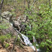 Review photo of Lewis Mountain Campground — Shenandoah National Park by Max O., August 24, 2019