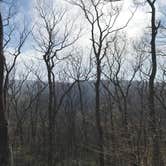 Review photo of Lewis Mountain Campground — Shenandoah National Park by Max O., August 24, 2019