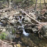 Review photo of Lewis Mountain Campground — Shenandoah National Park by Max O., August 24, 2019