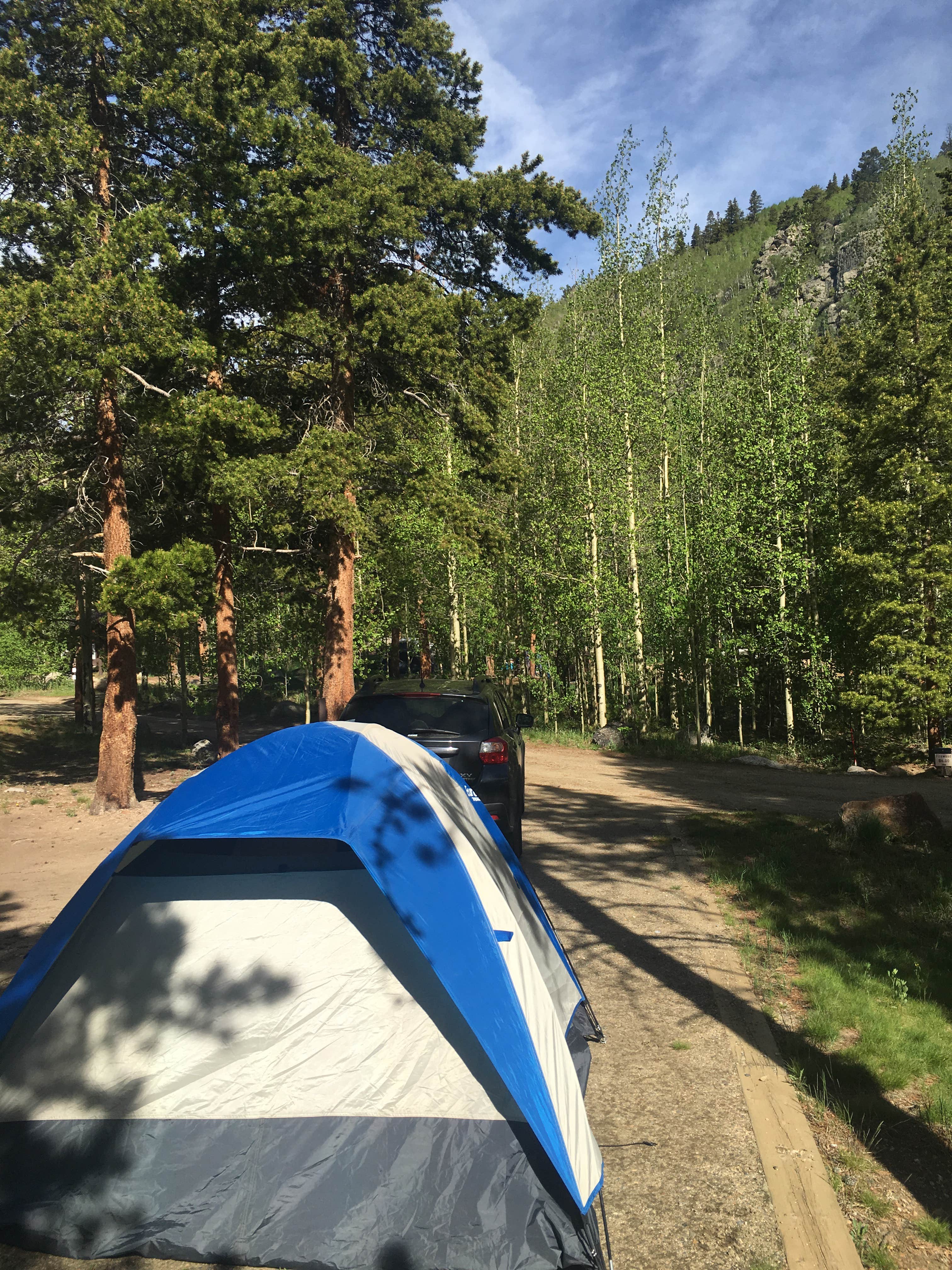 Camper submitted image from West Chicago Creek - 4