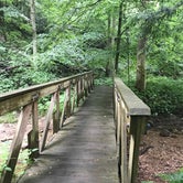 Review photo of Mohican State Park Campground by Max O., August 24, 2019