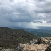 Review photo of Lewis Mountain Campground — Shenandoah National Park by Max O., August 24, 2019