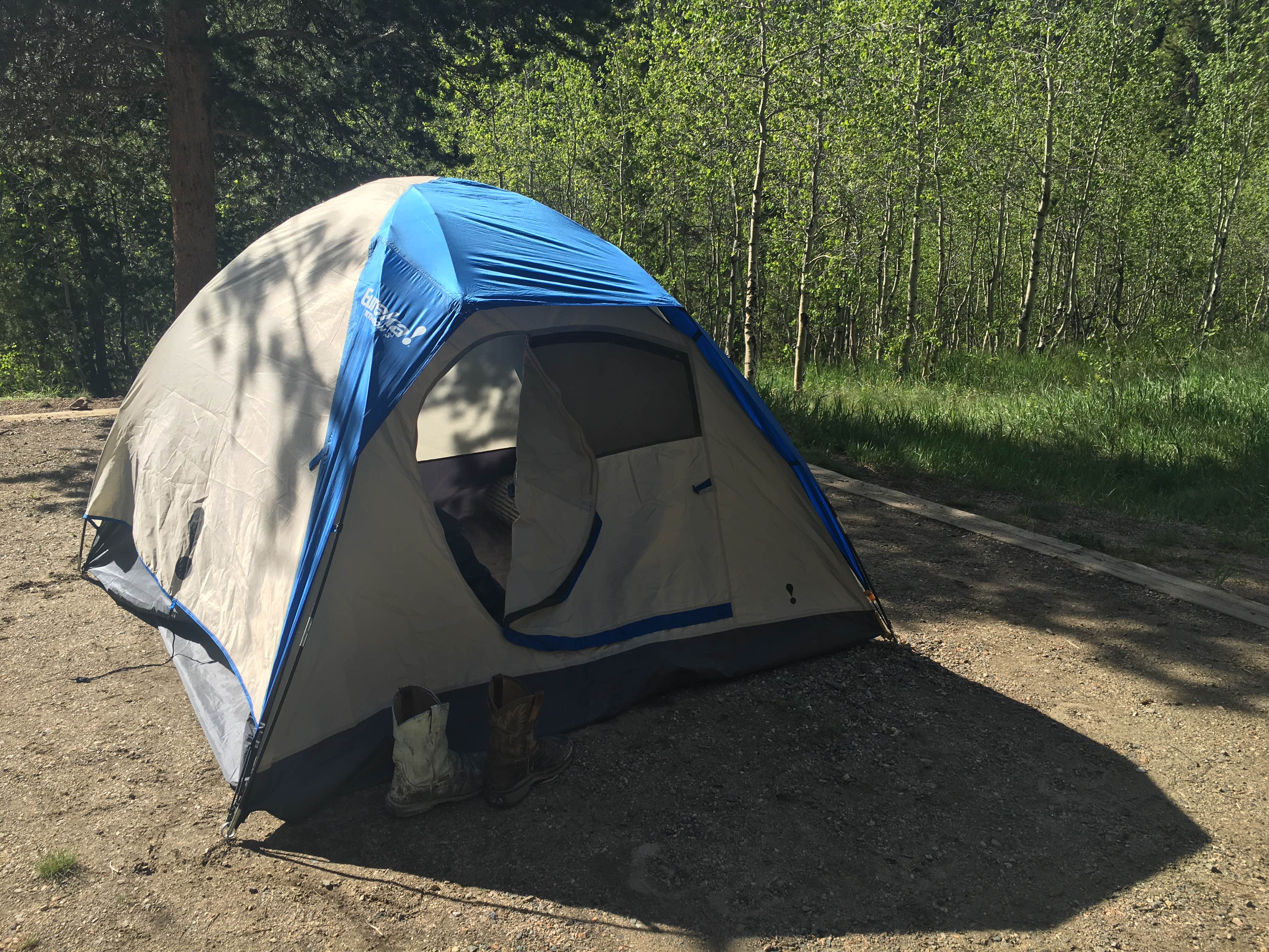 Madison G.'s photo at West Chicago Creek near Georgetown, CO