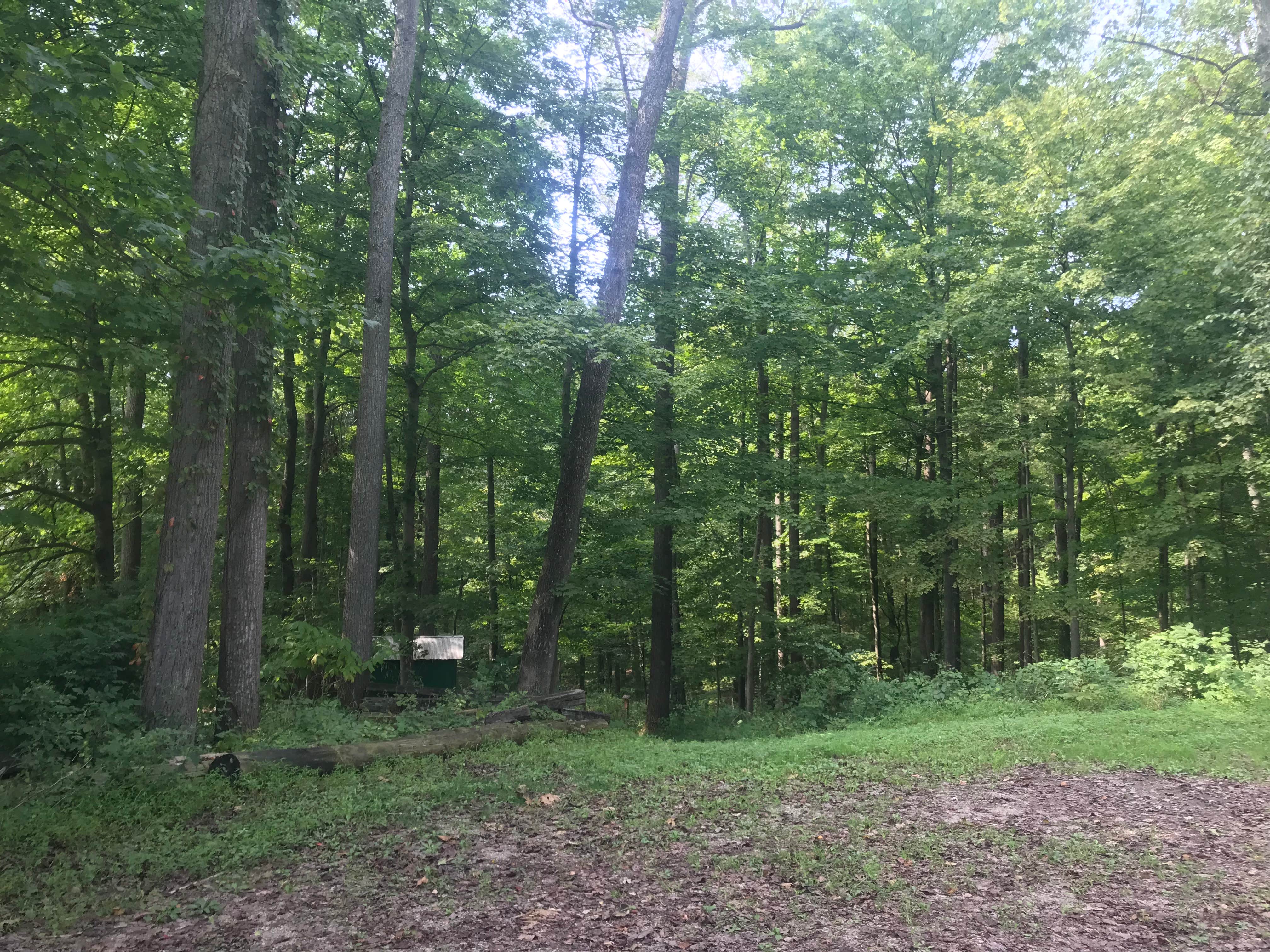 Camper-submitted photo at Camp Rotan near Ripley, WV