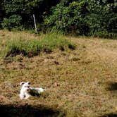 Review photo of Blackberry Row at Shalom Farm by Jeremy H., August 31, 2019