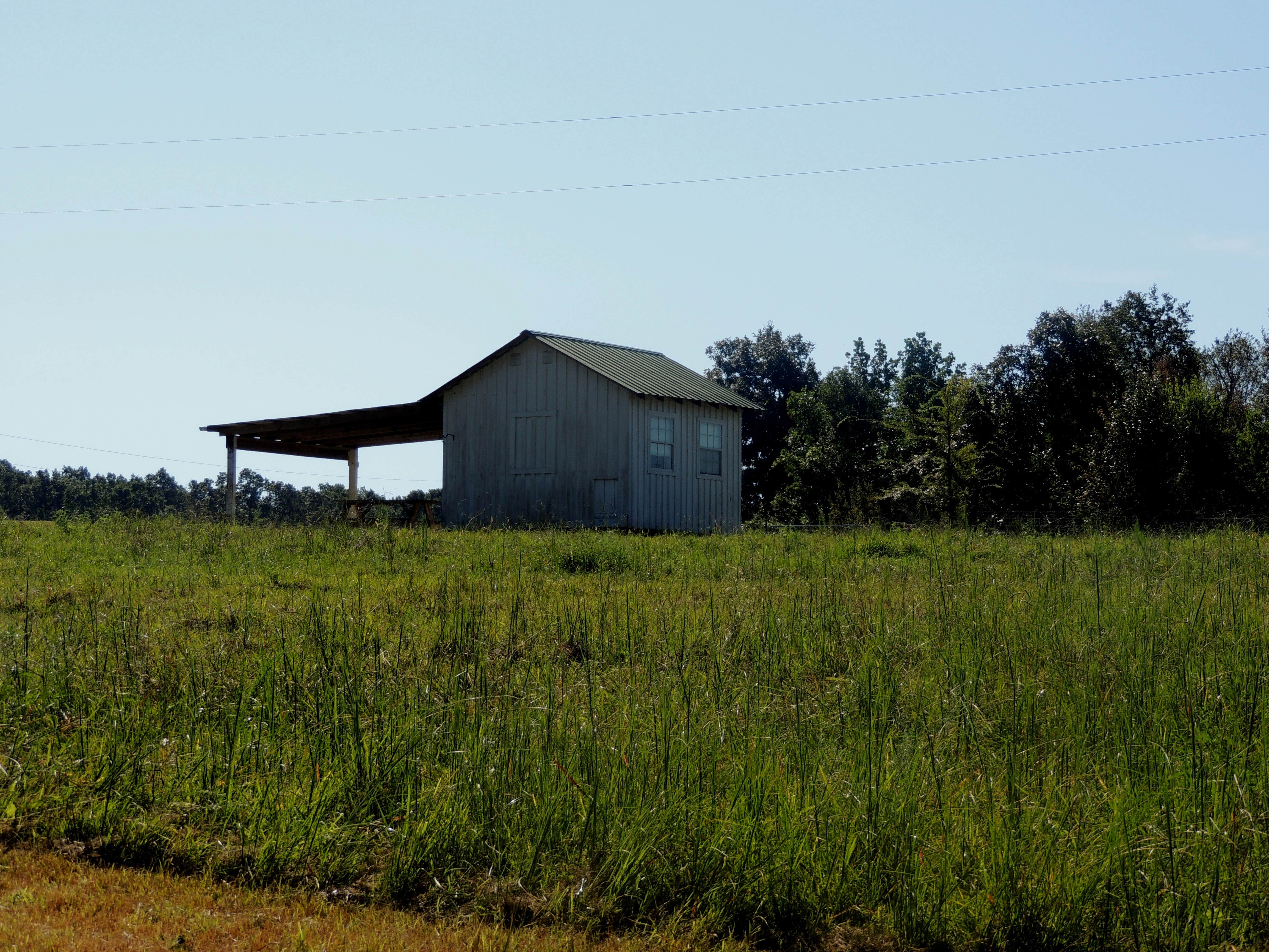 Camper-submitted photo at Blackberry Row at Shalom Farm near Summertown, TN