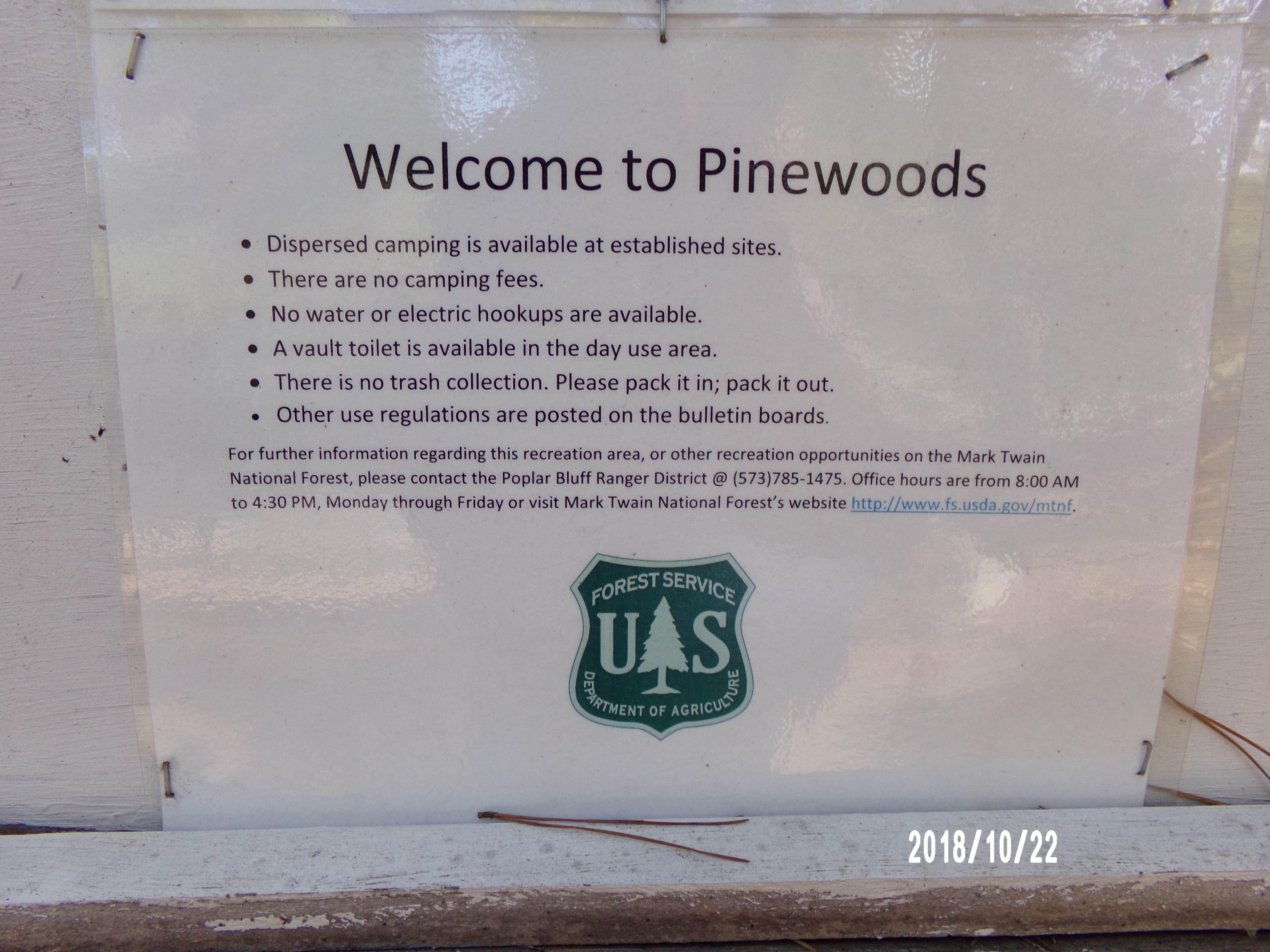 Camper submitted image from Pinewoods Lake Rec Area — Mark Twain National Forest - 5