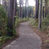 Review photo of Pinewoods Lake Rec Area — Mark Twain National Forest by Lula L., August 31, 2019