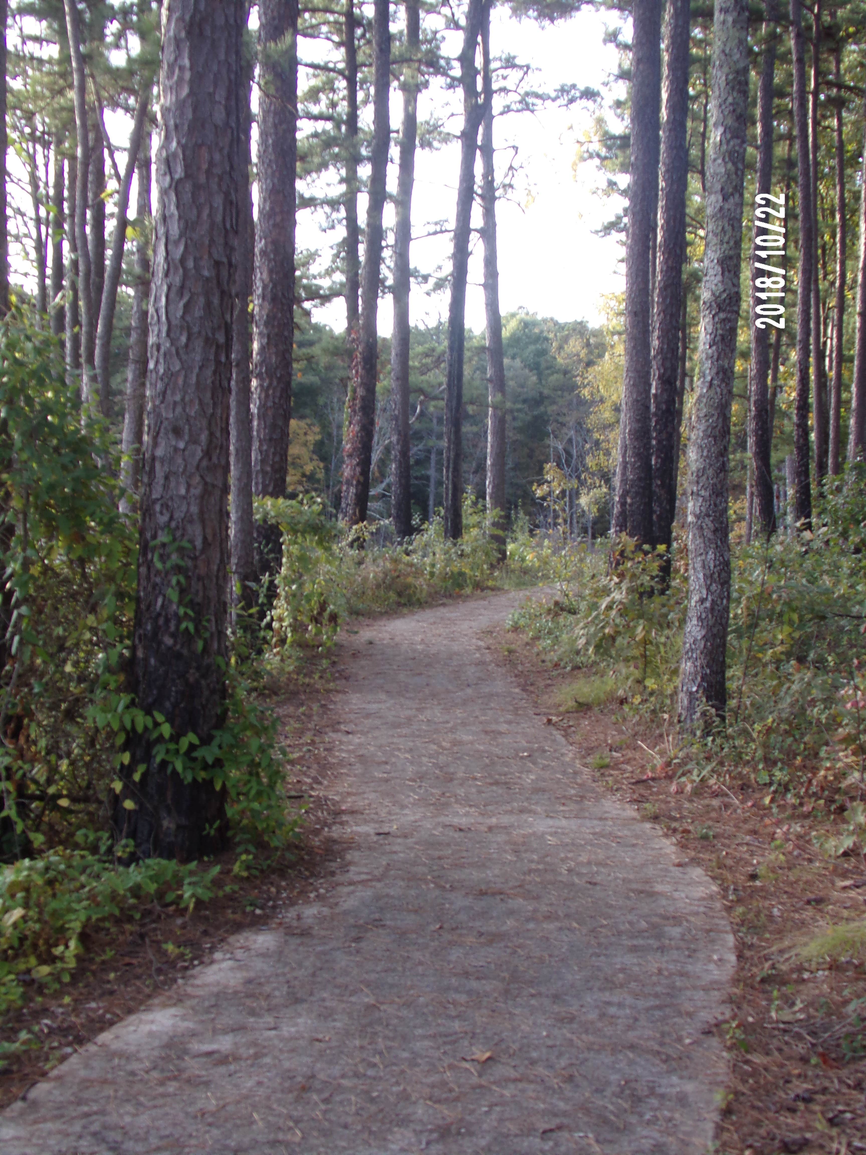 Camper submitted image from Pinewoods Lake Rec Area — Mark Twain National Forest - 4