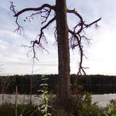 Review photo of Pinewoods Lake Rec Area — Mark Twain National Forest by Lula L., August 31, 2019