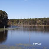 Review photo of Pinewoods Lake Rec Area — Mark Twain National Forest by Lula L., August 31, 2019