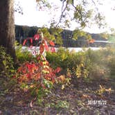 Review photo of Pinewoods Lake Rec Area — Mark Twain National Forest by Lula L., August 31, 2019