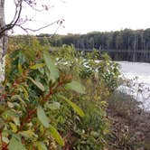 Review photo of Pinewoods Lake Rec Area — Mark Twain National Forest by Lula L., August 31, 2019