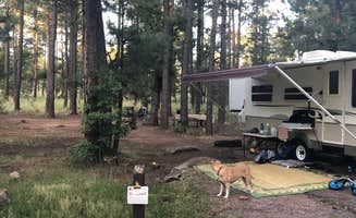 Melissa S.'s photo of camping with pets at Aspen Campground near Forest Lakes, AZ