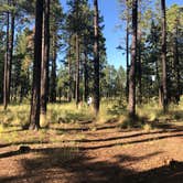 Review photo of Aspen Campground by Melissa S., August 31, 2019