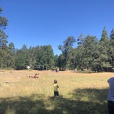Review photo of Aspen Campground at Woods Canyon by Melissa S., August 31, 2019